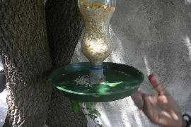 Hingolgadh 18-9-2014 